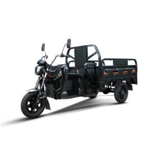 E-LINDI Cargo Trike